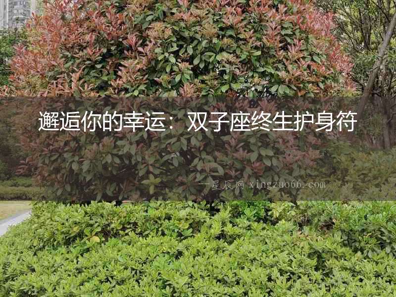 邂逅你的幸運：雙子座終生護身符