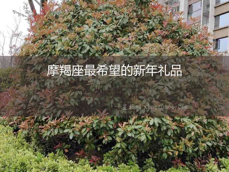 摩羯座最希望的新年禮品