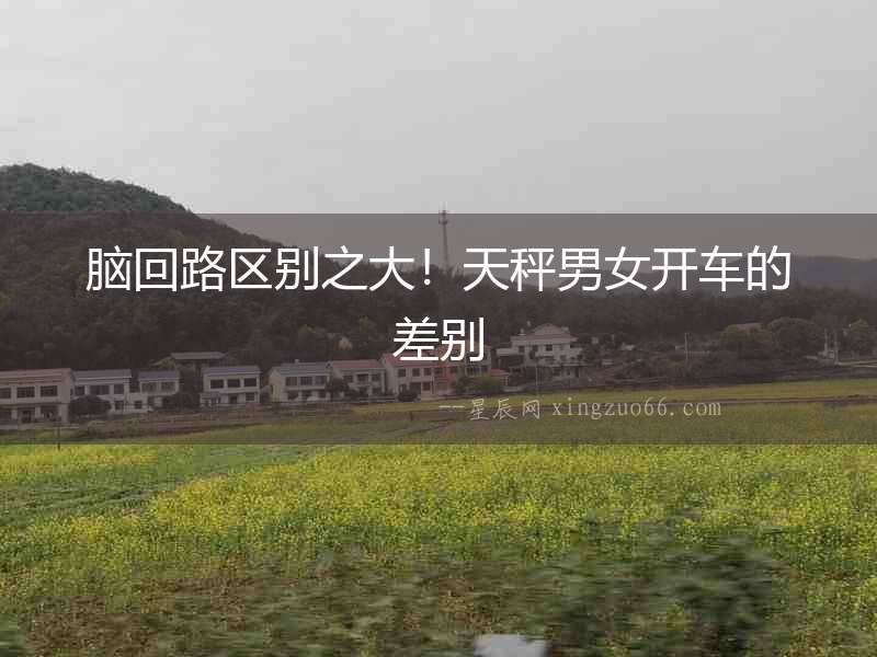 腦回路區(qū)別之大！天秤男女開車的差別