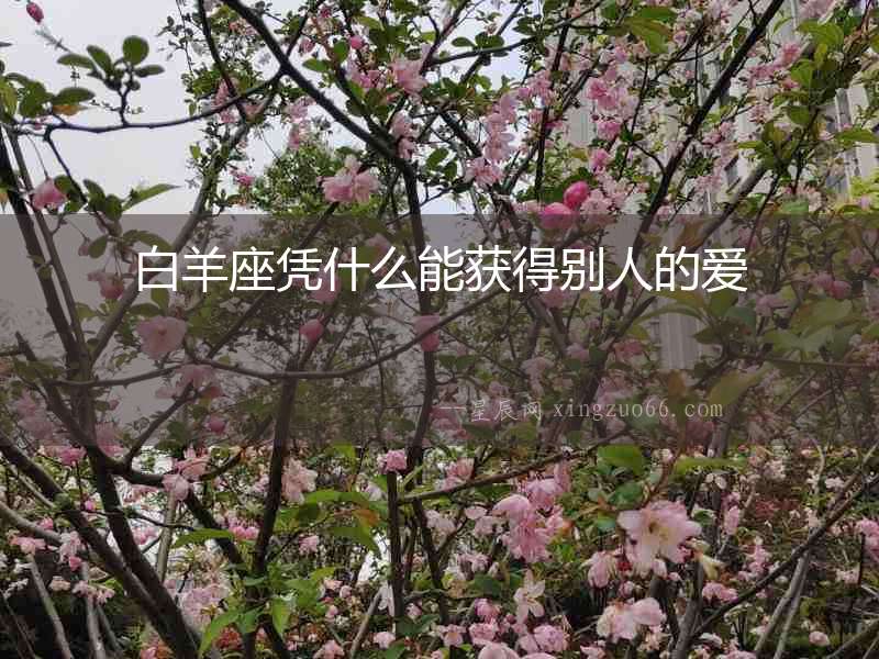 白羊座憑什么能獲得別人的愛