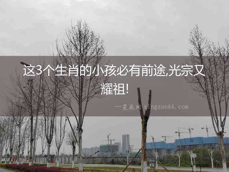 這3個(gè)生肖的小孩必有前途,光宗又耀祖!