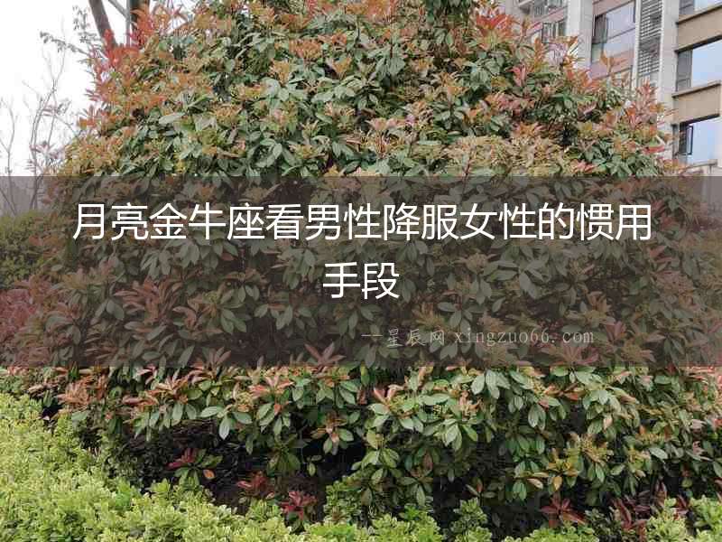 月亮金牛座看男性降服女性的慣用手段