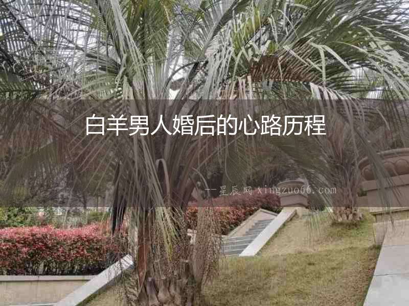 白羊男人婚后的心路歷程