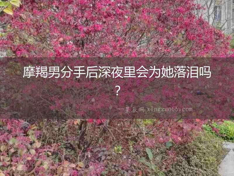 摩羯男分手后深夜里會為她落淚嗎？