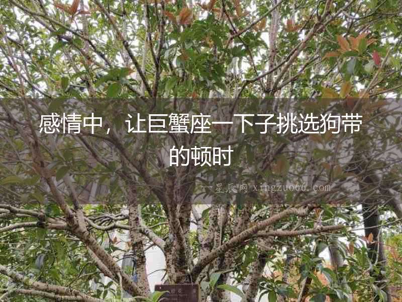 感情中，讓巨蟹座一下子挑選狗帶的頓時