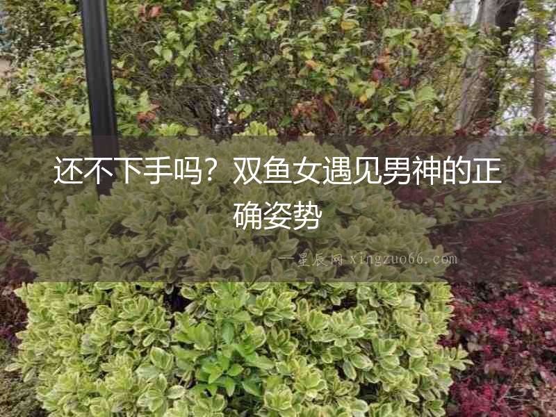 還不下手嗎？雙魚女遇見男神的正確姿勢