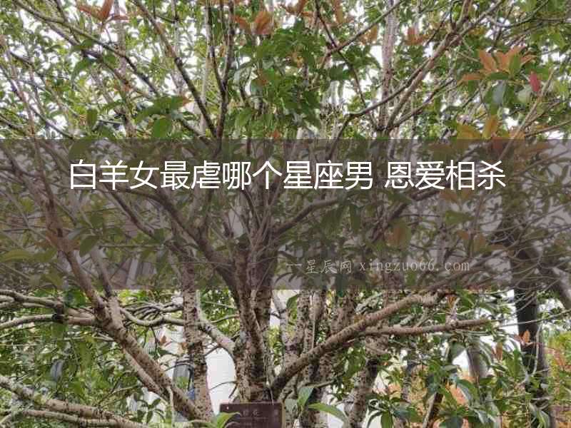 白羊女最虐哪個星座男 恩愛相殺