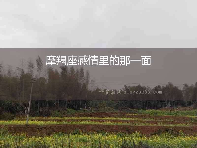 摩羯座感情里的那一面