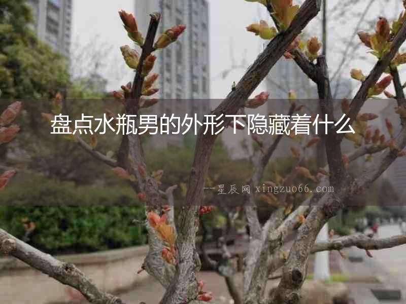 盤點水瓶男的外形下隱藏著什么