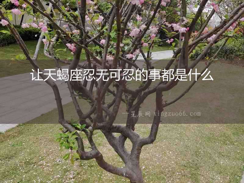 讓天蝎座忍無可忍的事都是什么