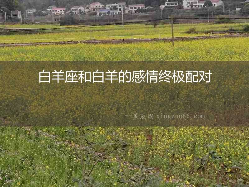 白羊座和白羊的感情終極配對