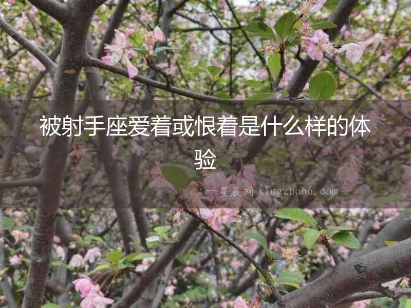 被射手座愛著或恨著是什么樣的體驗