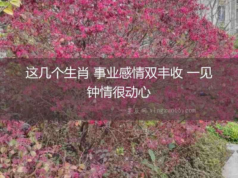 這幾個生肖 事業(yè)感情雙豐收 一見鐘情很動心