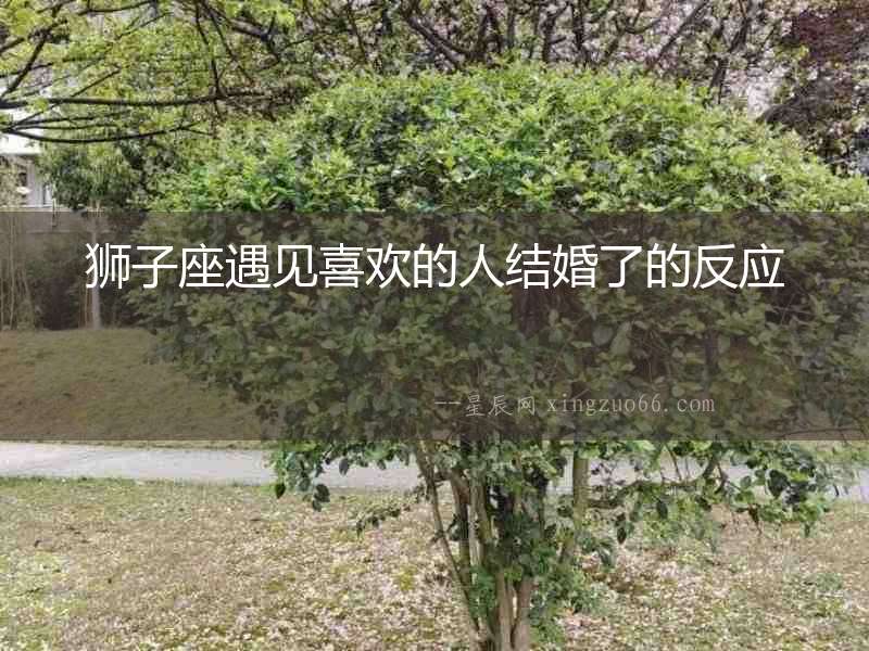 獅子座遇見喜歡的人結婚了的反應