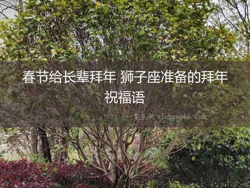 春節給長輩拜年 獅子座準備的拜年祝福語