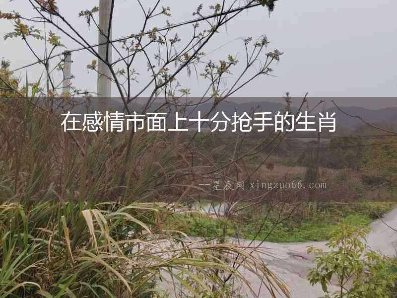 在感情市面上十分搶手的生肖
