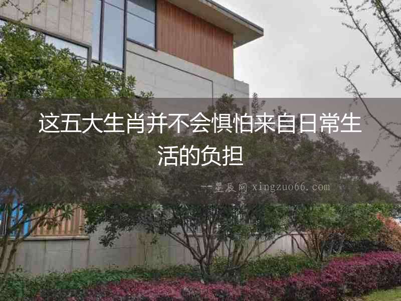這五大生肖并不會懼怕來自日常生活的負(fù)擔(dān)