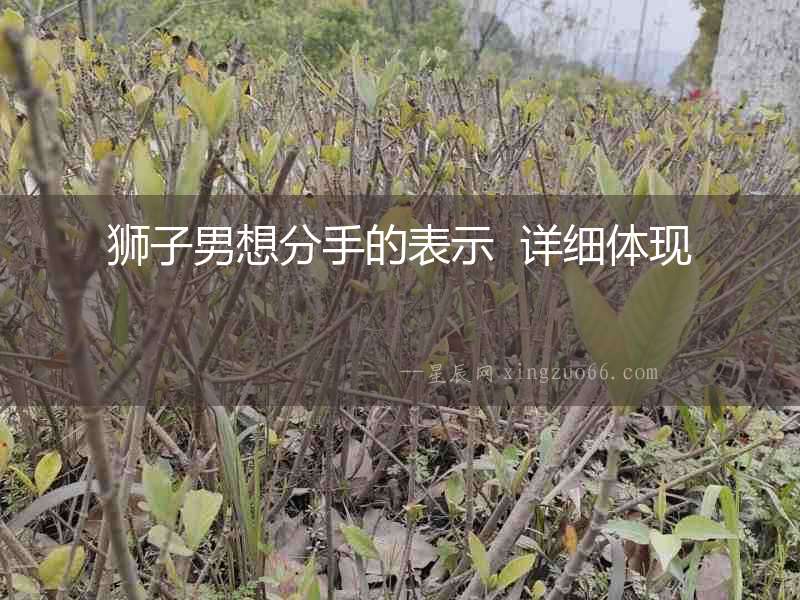 獅子男想分手的表示  詳細體現(xiàn)