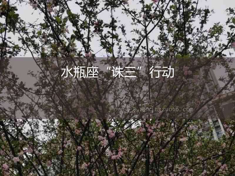 水瓶座“誅三”行動