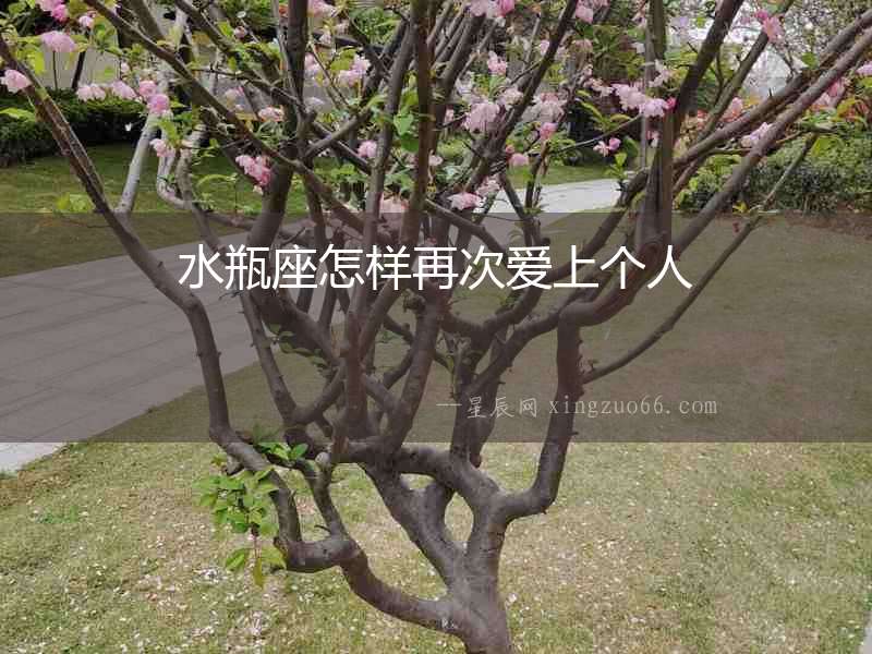 水瓶座怎樣再次愛上個(gè)人