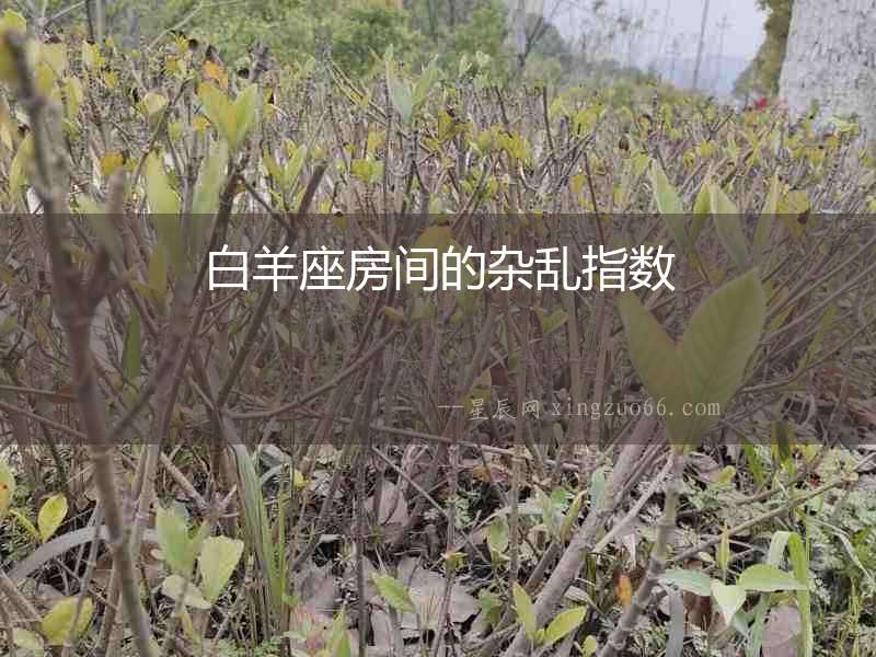 白羊座房間的雜亂指數