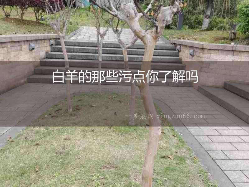 白羊的那些污點(diǎn)你了解嗎