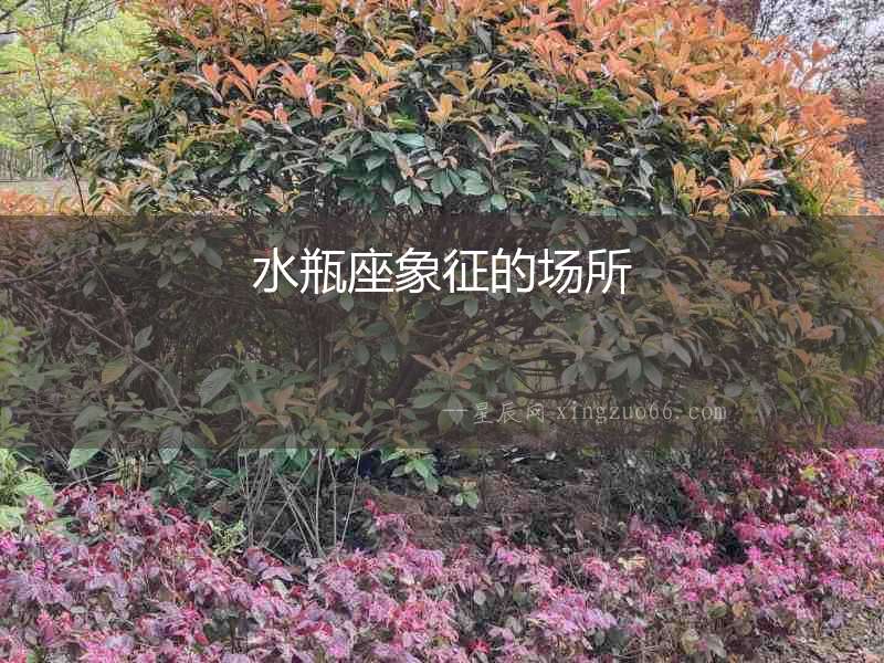 水瓶座象征的場所