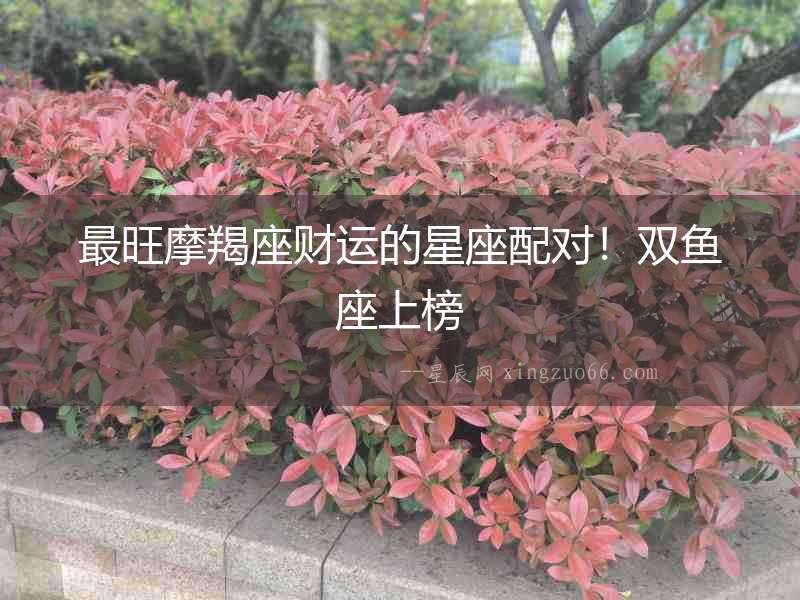 最旺摩羯座財運的星座配對！雙魚座上榜