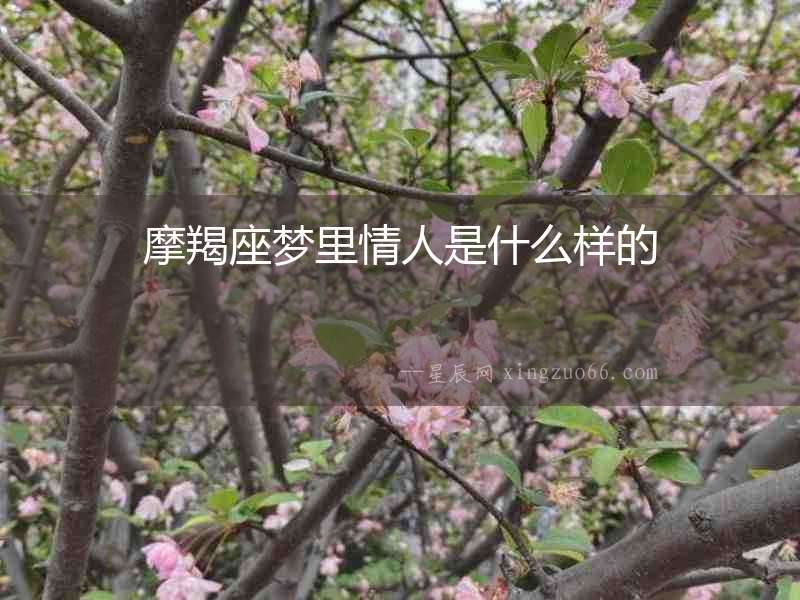 摩羯座夢里情人是什么樣的