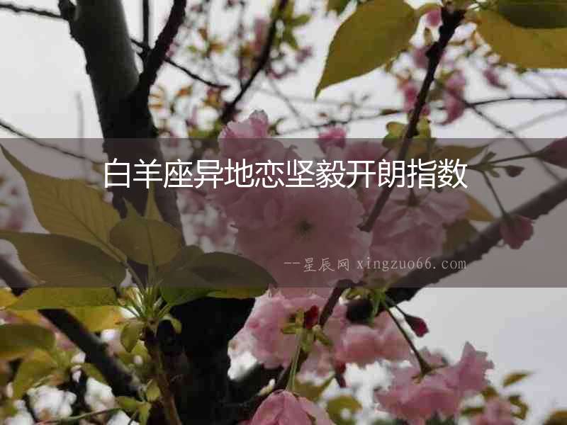 白羊座異地戀堅毅開朗指數(shù)