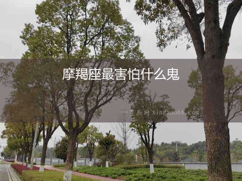 摩羯座最害怕什么鬼