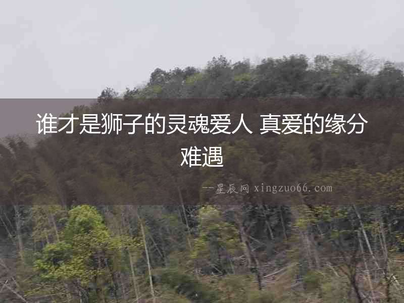 誰才是獅子的靈魂愛人 真愛的緣分難遇