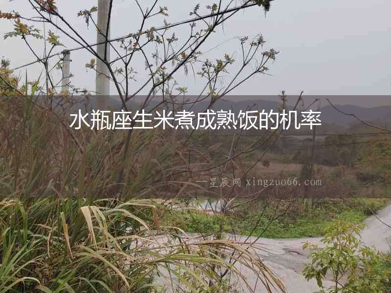 水瓶座生米煮成熟飯的機率