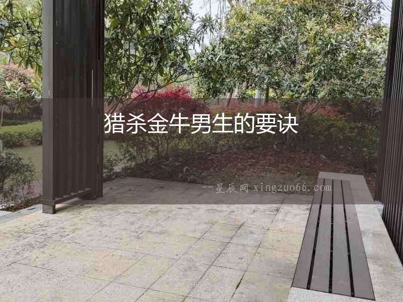 獵殺金牛男生的要訣