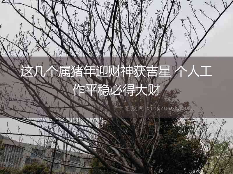 這幾個屬豬年迎財神獲吉星 個人工作平穩必得大財