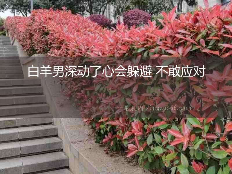 白羊男深動了心會躲避 不敢應對