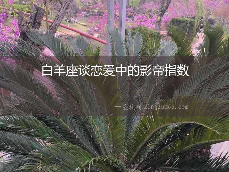白羊座談戀愛中的影帝指數
