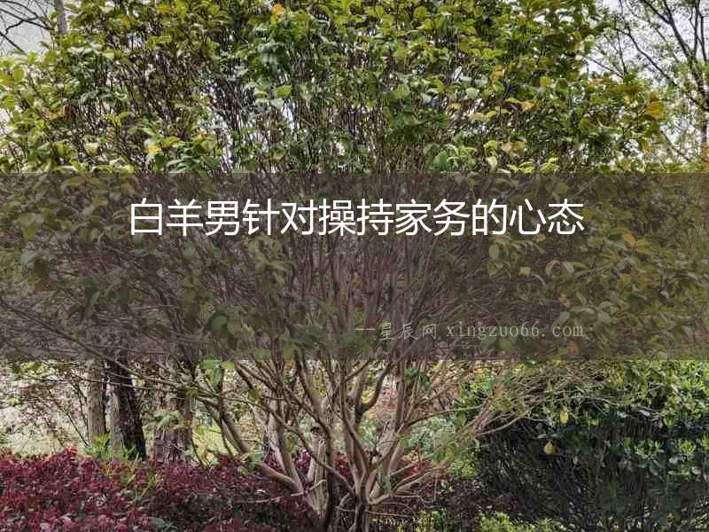 白羊男針對操持家務的心態