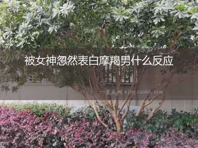 被女神忽然表白摩羯男什么反應