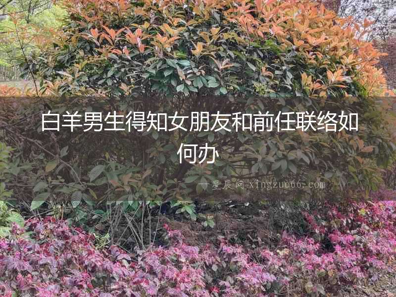 白羊男生得知女朋友和前任聯(lián)絡(luò)如何辦