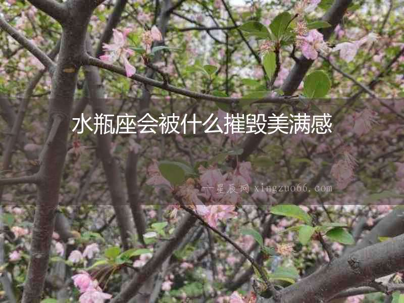 水瓶座會(huì)被什么摧毀美滿感