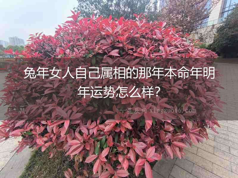 兔年女人自己屬相的那年本命年明年運勢怎么樣？