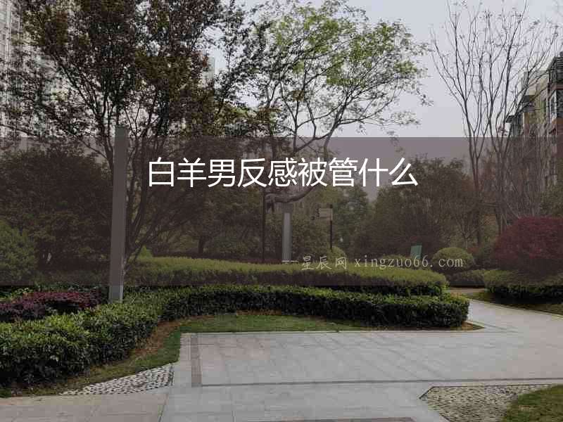 白羊男反感被管什么