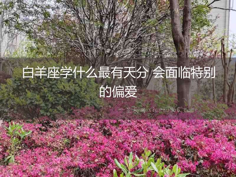 白羊座學什么最有天分 會面臨特別的偏愛