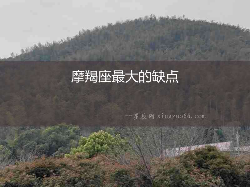 摩羯座最大的缺點