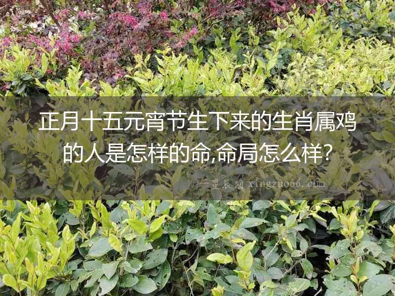 正月十五元宵節(jié)生下來的生肖屬雞的人是怎樣的命,命局怎么樣？