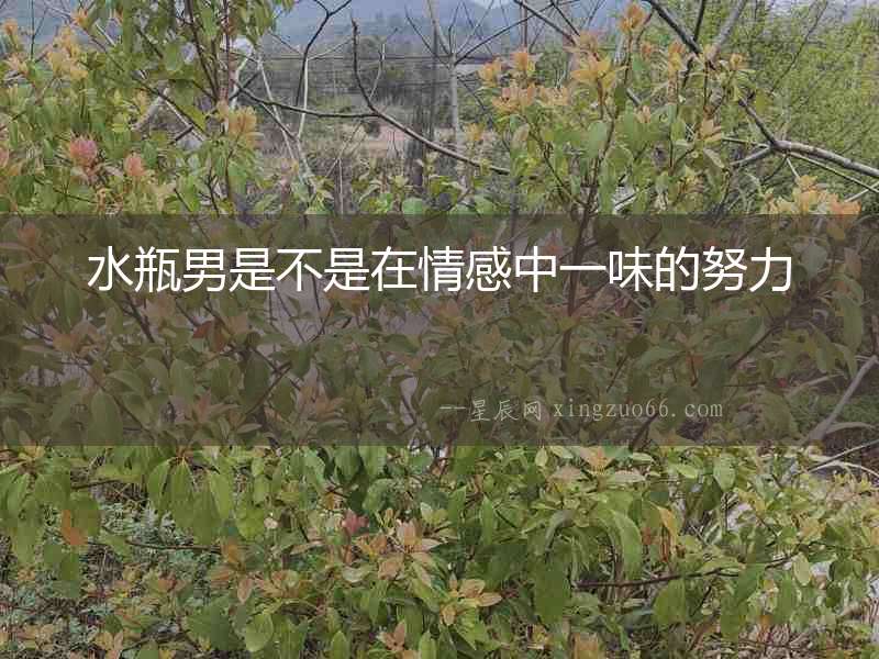 水瓶男是不是在情感中一味的努力