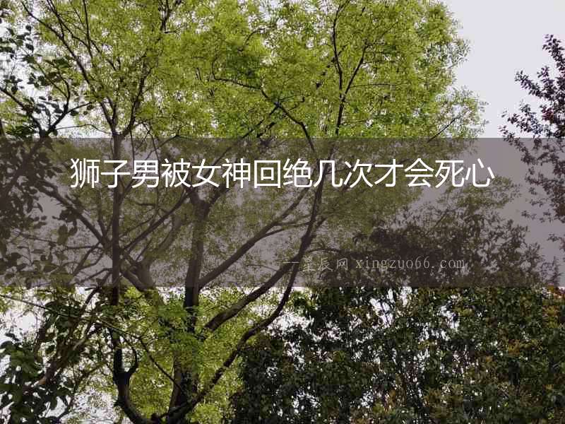 獅子男被女神回絕幾次才會死心