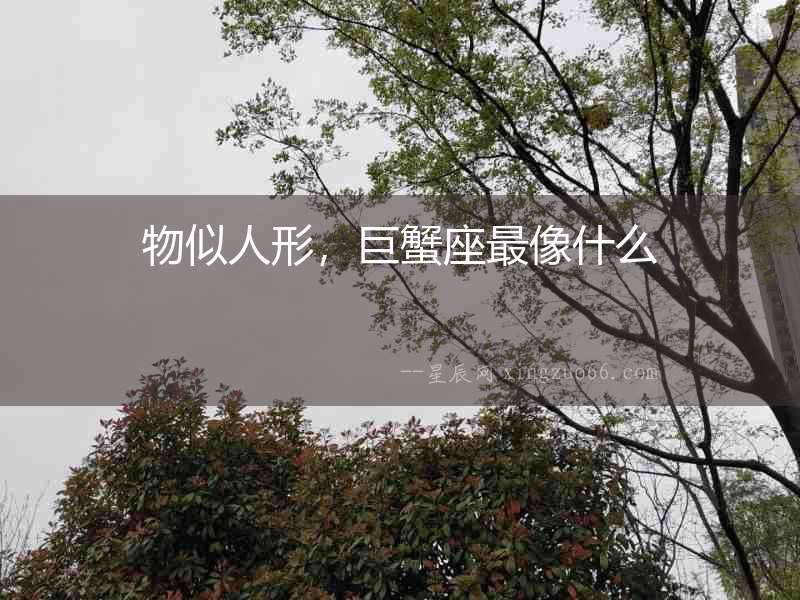 物似人形，巨蟹座最像什么