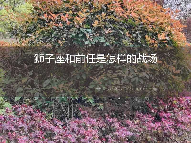 獅子座和前任是怎樣的戰場